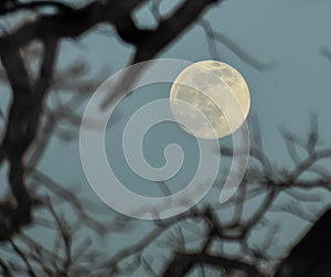 Moon in the Sky at Dusk