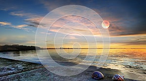 Moon on sky at pink sunset sea water blue reflection and seashell on beach stone nature landscape background