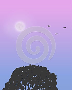 The Moon In The Sky, Sunglow, Illustration