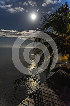 Moon Stars Night Reflection Blue Water Moorea Tahiti