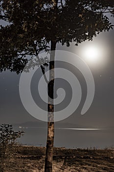 Moon and stars in the night sky and reflections in the sea