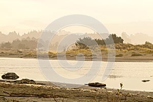 Moon stone bay California - tide flowing in among dunes and sea grass and low foliage - misty and soft