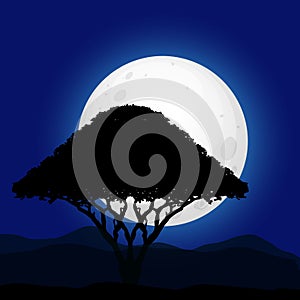 Moon and tree background