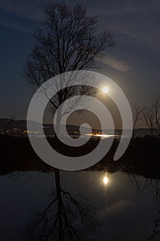Moon and tree reflectiing on the Trasimeno lake surface at night