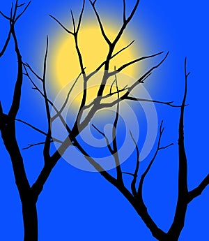 Moon and trees