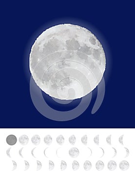 Moon. Vector Illustration