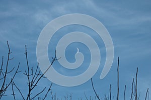 Moon on a Winter Blue Sky