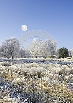 Moon and wintry countryside