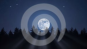 Moonbeams create soft rays through the trees enhancing the tranquil atmosphere