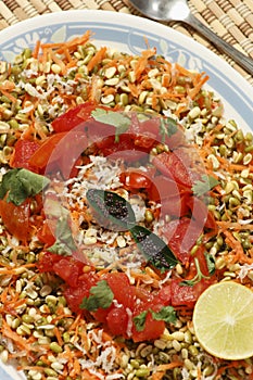 Moong Dal gajjar chaat from India