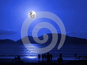 Moonlight on the beach