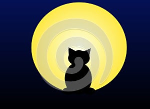 Moonlight cat