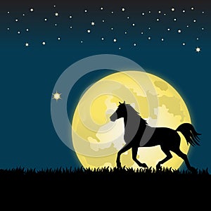 Moonlight Horse