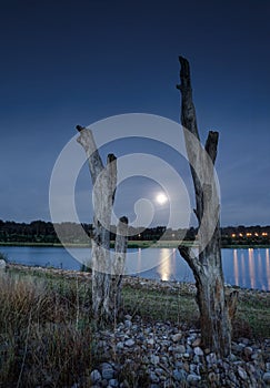 Moonlight lakeside