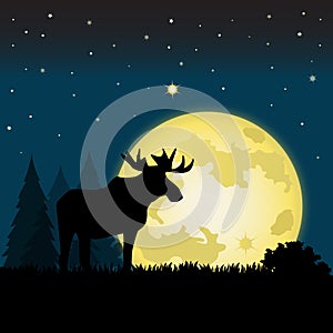 Moonlight Moose