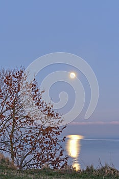 Moonlight over the Ocean