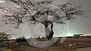 Moonlight over the Tree time lapse at night with zooming out