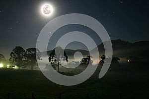 Moonlight over trees