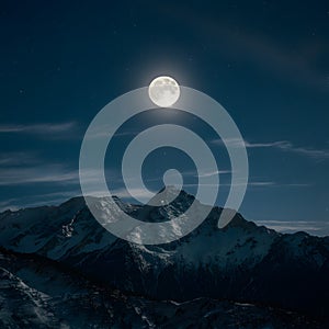 Moonlight reveals natures beauty in the dark sky photo