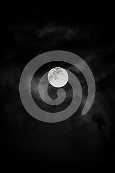 Moonlight shines Nikon d3500 photo