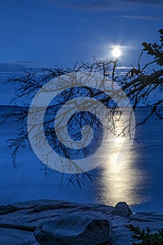 Mt. Desert Island Moonlight - Maine