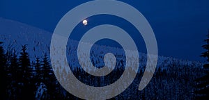 Moonlight winter night in mountains