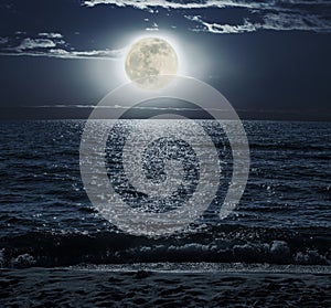 Moonlit Night over the Sea photo