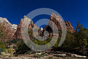 Moonlit Night in Zion