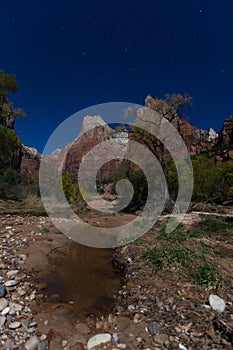 Moonlit Night in Zion