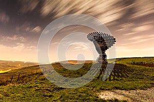 Moonlit Shadow at the Singing Ringing Tree photo