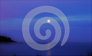 Moonlit summer night