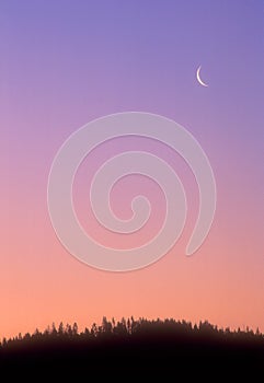 Moonrise 01 photo