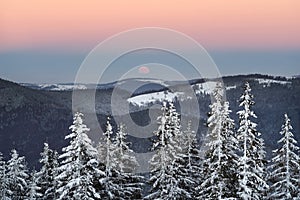 Moonrise in a frost