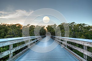 Moonrise over the Boardwalk leading to Pass