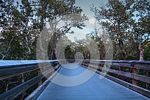 Moonrise over the Boardwalk leading to Pass