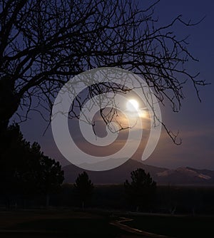 Moonrise over the Santa Rita mountains