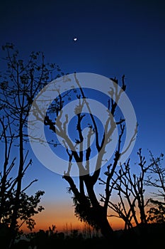 Moonrise rise and vivid sunset from kangra valley