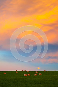 Moonrise at Sunset in a hay field in southern Alberta