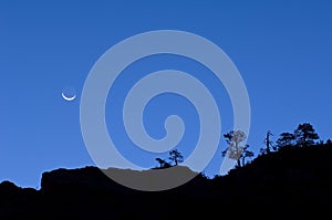 Moonrise Zion National Park photo