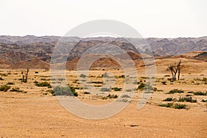 Moonscape canyon - Namibia Africa