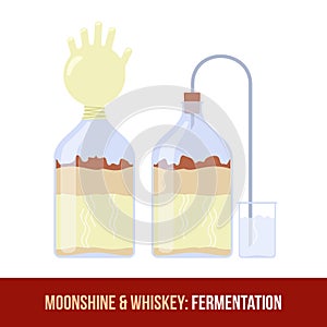 Moonshine and whiskey. Fermentation