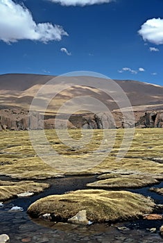 Moor on Altiplano in Bolivia, Bolivia