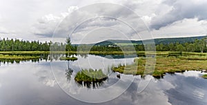 Moor marsh lake meadow forest sky