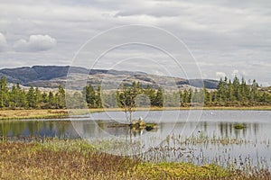 Moor pond at  Indre - Vikna