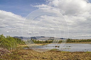 Moor pond at  Indre - Vikna