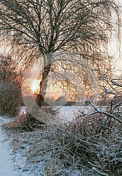 Moor in winter