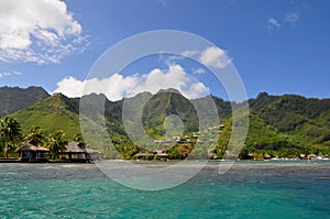 Moorea, french polynesia