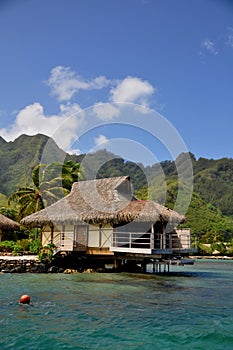 Moorea, french polynesia