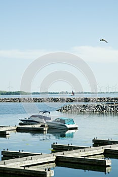 Moored boats