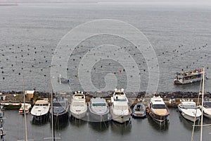 Moored boats in harbor. Sailing and shiping concept. Ocean bay. Port background. photo